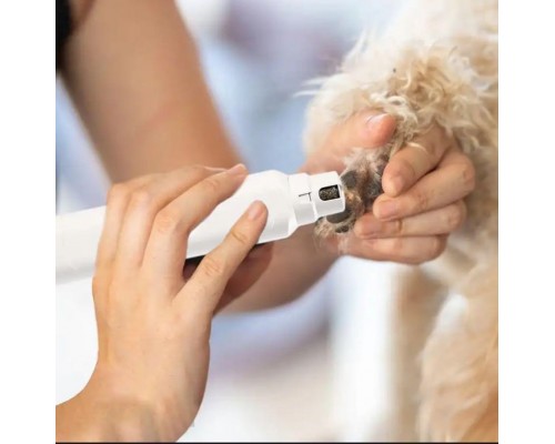 Гриндер когтерез на батарейках оптом