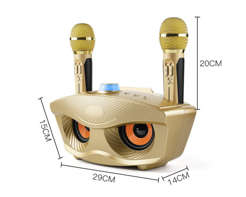 Домашняя беспроводная караоке система Magic Karaoke SDRD SD-306 оптом