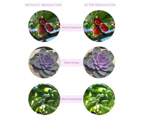 Фитолампа для выращивания растений тройная LED Grow Light оптом