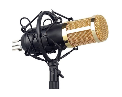 Студийный микрофон ВМ-800 оптом