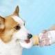 Поилка бутылка для собак оптом