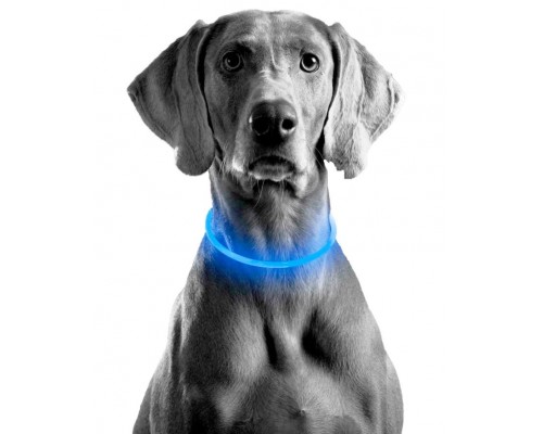 Светодиодный ошейник для собак оптом